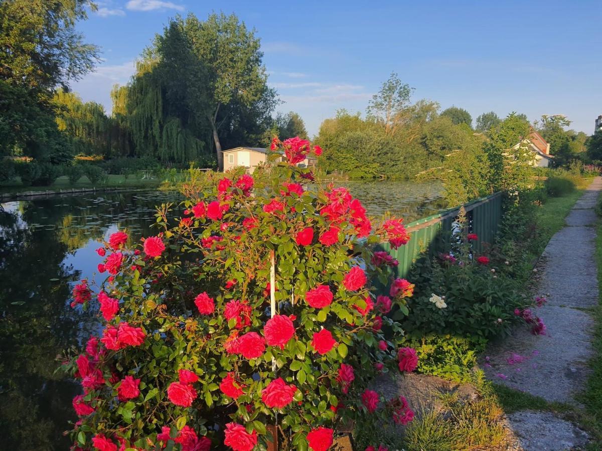 Le Cottage Des Hortillonnages 阿棉 外观 照片